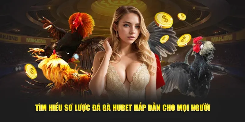 Đá gà HUBET sảnh game nên trải nghiệm năm 2025 